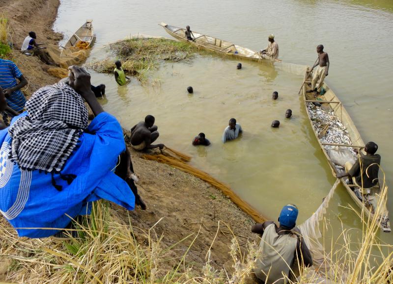Communal fishing in the Logone Floodplain, Cameroon