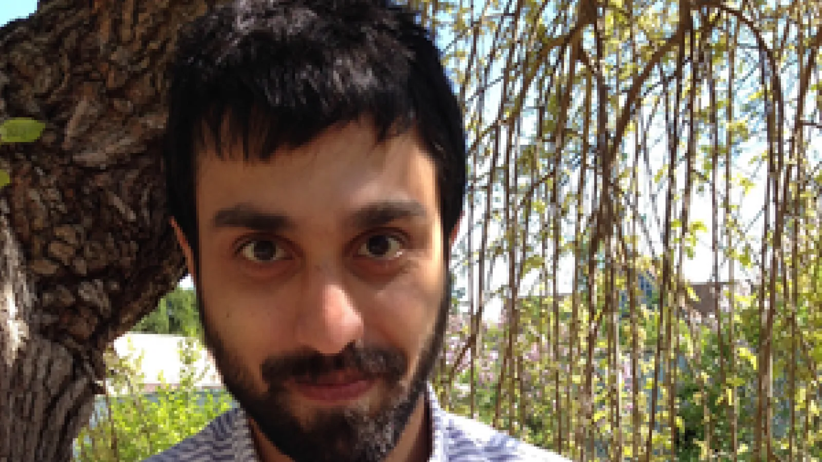 Ali Kaveh Aenehzodaee