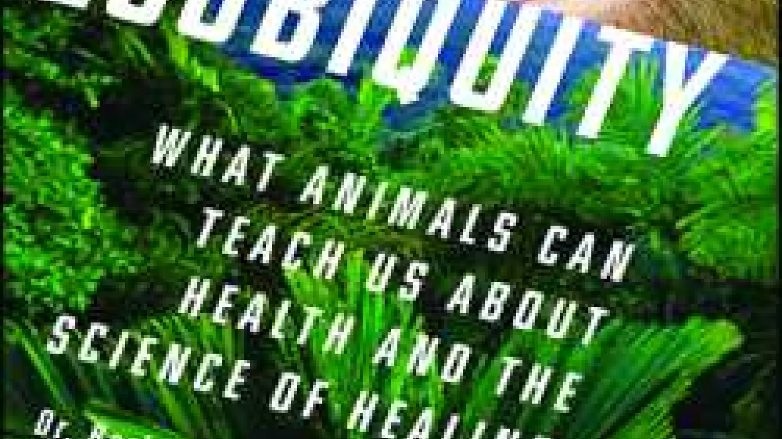 Angry Birds, Busy Bees, and Mad Cows: What Animal Psychopathology Can Teach Us About Ourselves