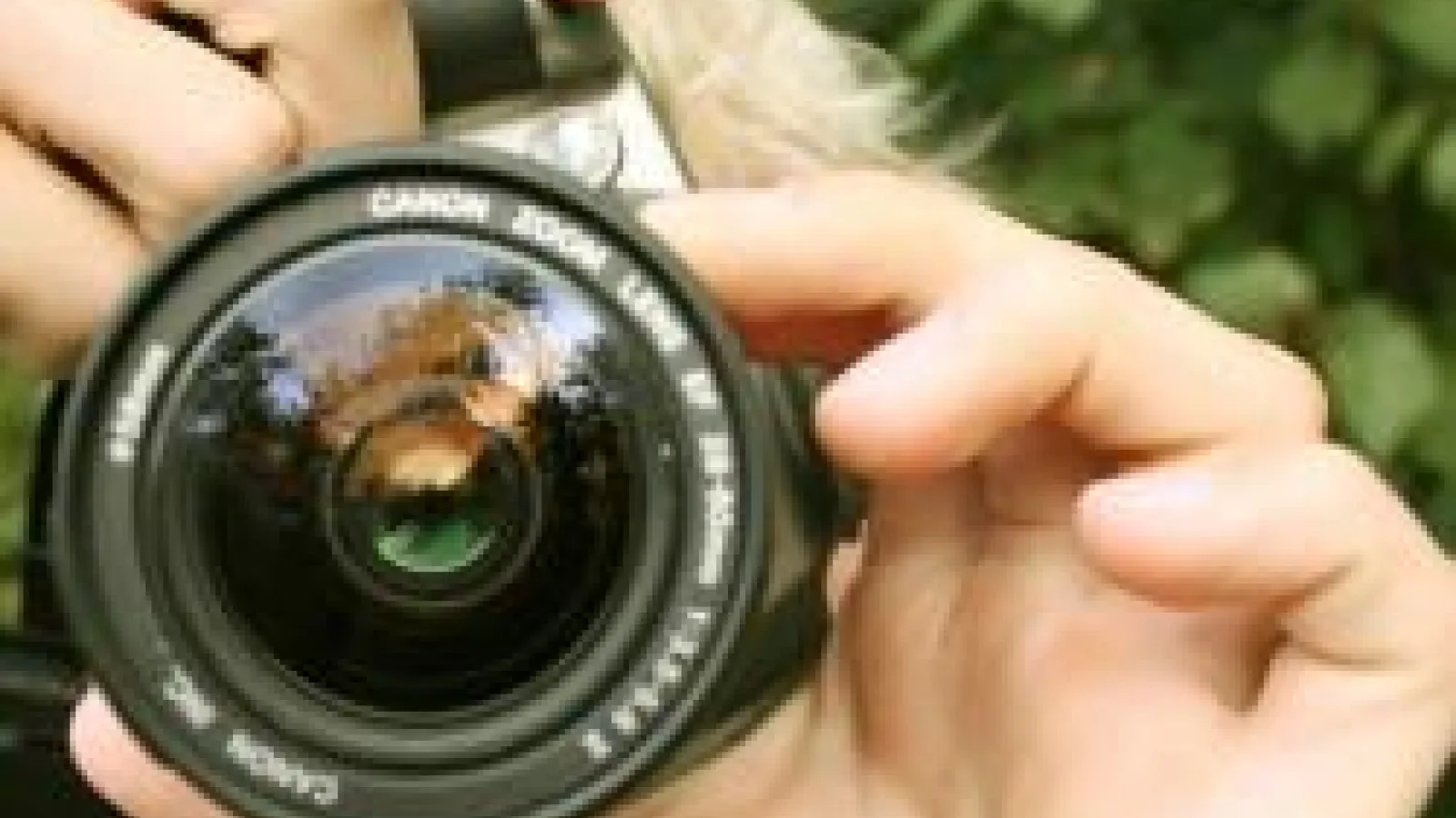 Photo Contest