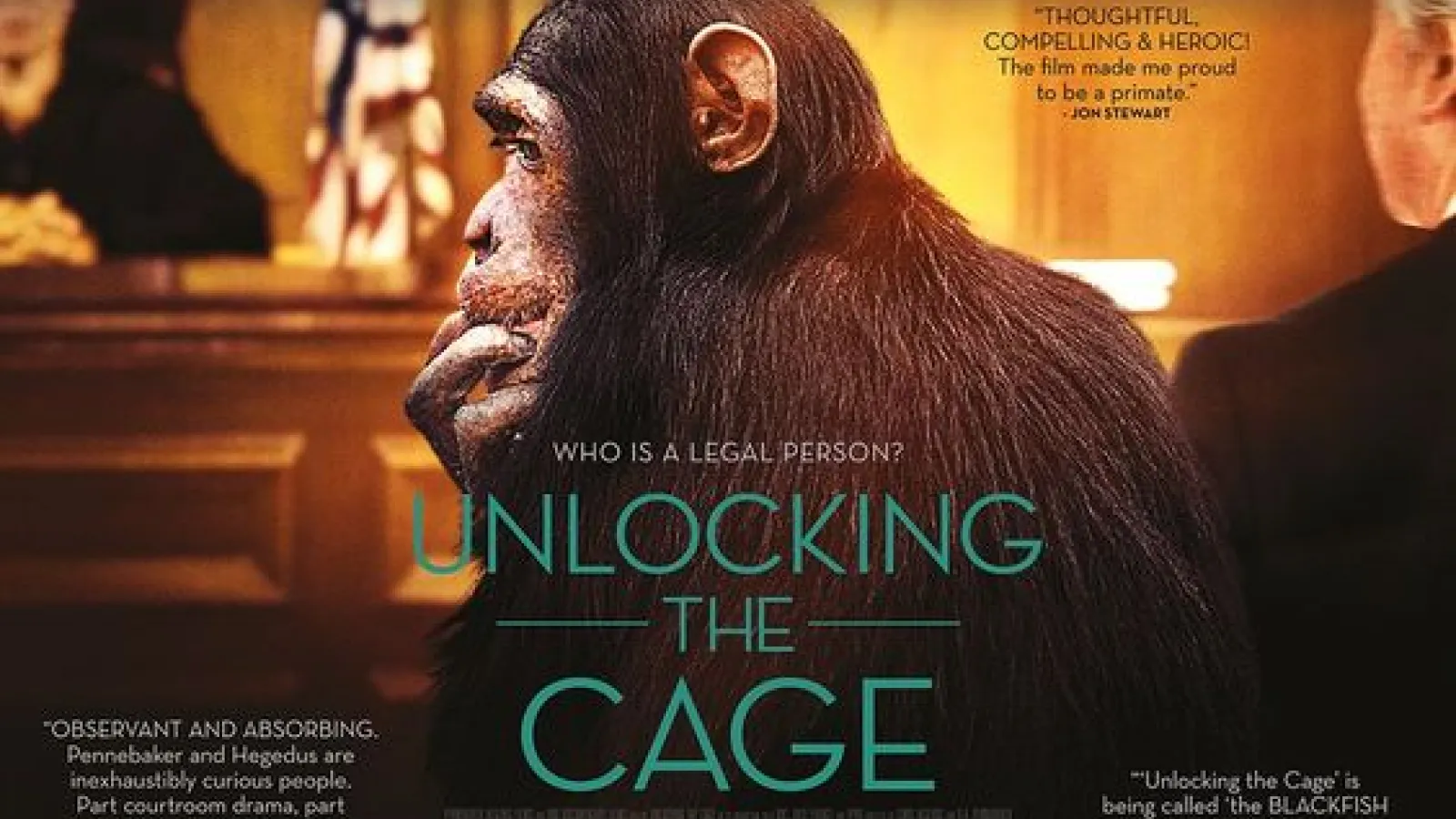 Unlocking the Cage