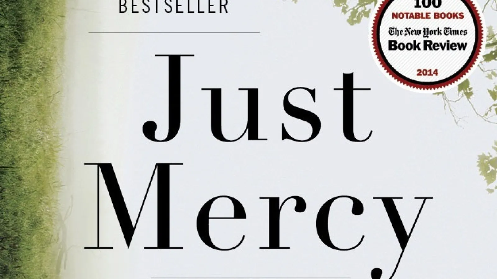 Just Mercy 2