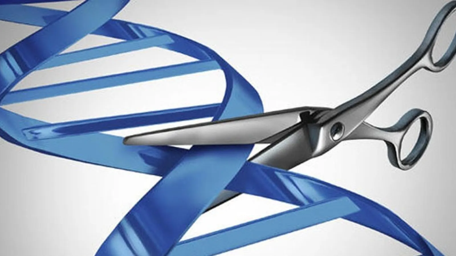 DNA/Scissors
