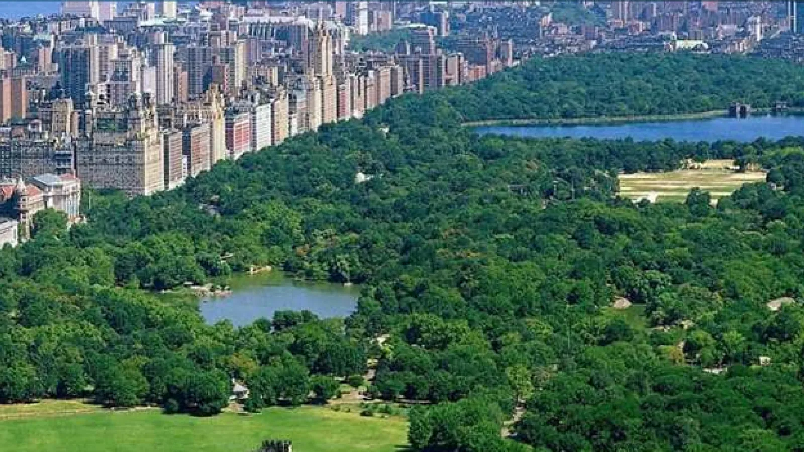 Central Park