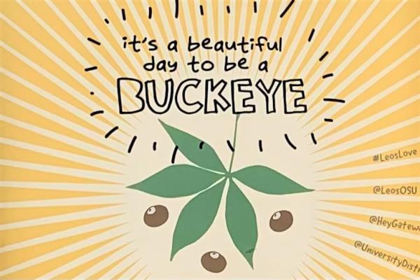 It's a Beautiful Day to be a Buckeye Mural image