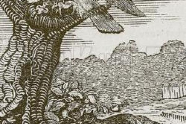 A classic style illustration of a fox at bottom of a tree where a bird and hatchlings rest on a branch