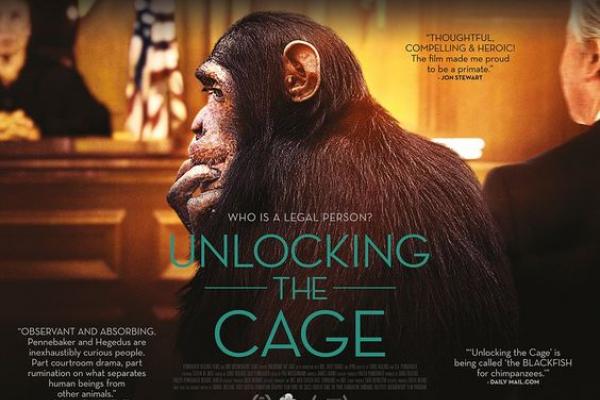 Unlocking the Cage