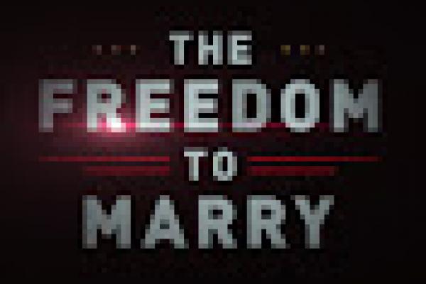 The Freedom to Marry (Eddie Rosenstein, 2016)